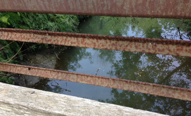 Bridge with water and trees Scarborough ON